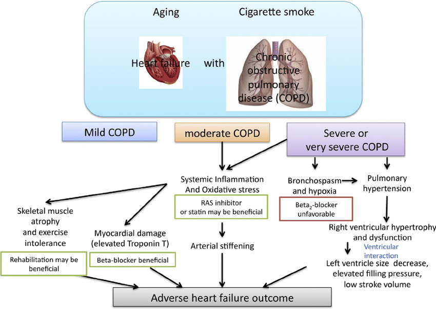 Copd And Heart Disease - Copd and Heart Failure